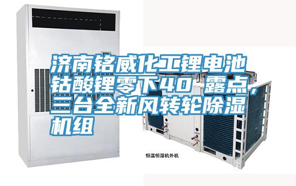 濟(jì)南銘威化工鋰電池鈷酸鋰零下40℃露點(diǎn),三臺(tái)全新風(fēng)轉(zhuǎn)輪除濕機(jī)組