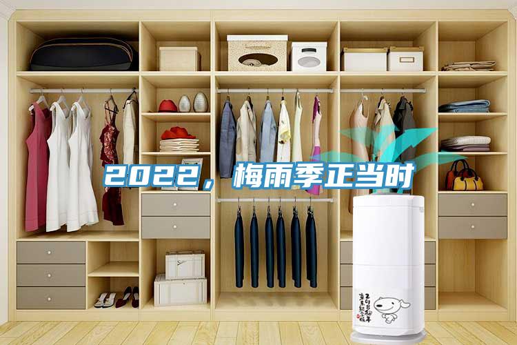 2022,梅雨季正當時