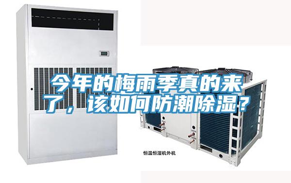 今年的梅雨季真的來了，該如何防潮除濕？