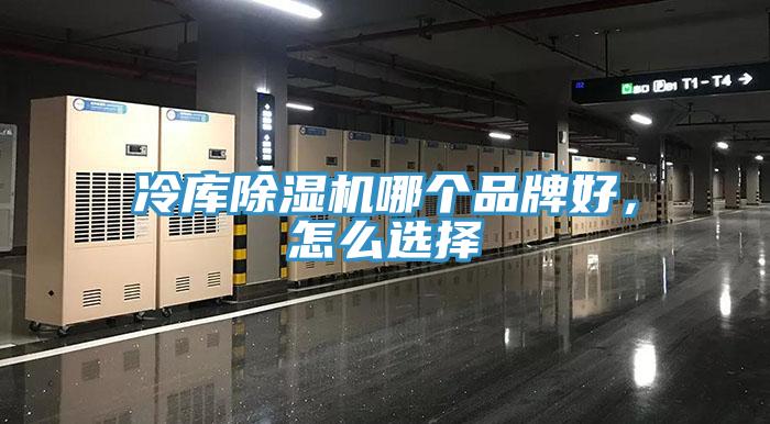 冷庫除濕機(jī)哪個品牌好,怎么選擇