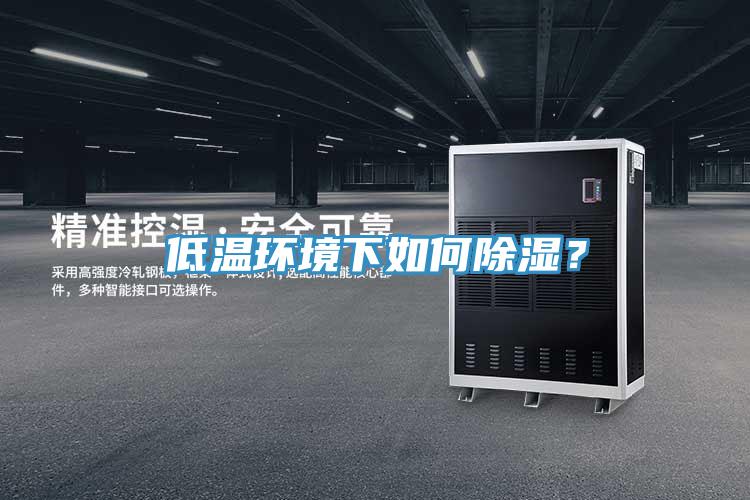 低溫環境下如何除濕?